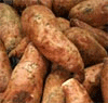 SweetPotatoes